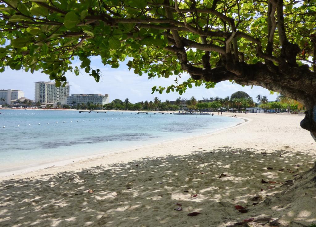 Beach One Bedroom Suite 13 Ocho Rios Luaran gambar